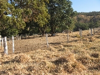 Clique na foto para ampliar! - Foto 7375